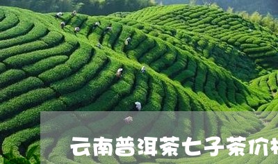 云南普洱茶七子茶价格/2023080386372