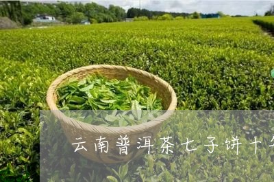 云南普洱茶七子饼十年/2023120716059