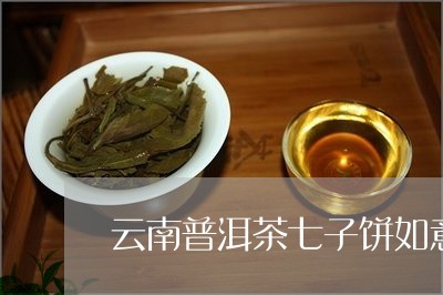 云南普洱茶七子饼如意/2023073054036