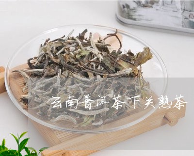 云南普洱茶下关熟茶/2023070915049