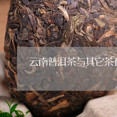 云南普洱茶与其它茶有何区别/2023052958482