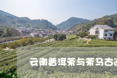 云南普洱茶与茶马古道/2023100706360