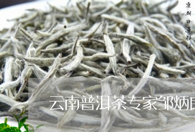 云南普洱茶专家邹炳良/2023073142692