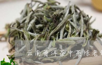 云南普洱茶中茶陈老师/2023080205827