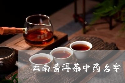 云南普洱茶中药名字/2023091504158