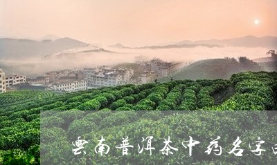 云南普洱茶中药名字由来/2023050658262