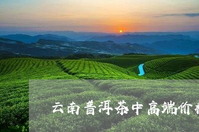 云南普洱茶中高端价格/2023100612606