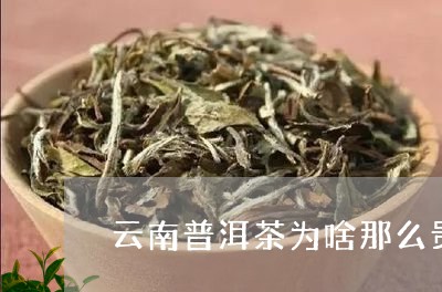 云南普洱茶为啥那么贵/2023120673717