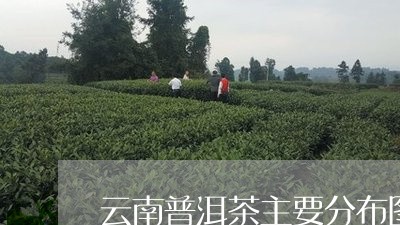 云南普洱茶主要分布图/2023062362917