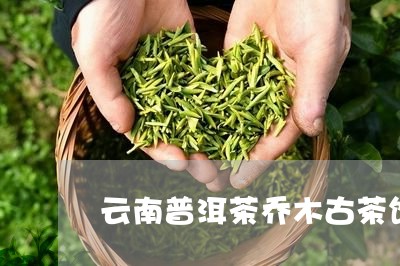 云南普洱茶乔木古茶饼/2023080365047