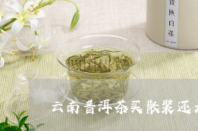 云南普洱茶买散装还是/2023100867480