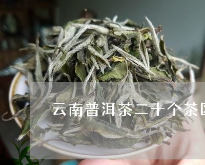 云南普洱茶二十个茶区/2023100780695