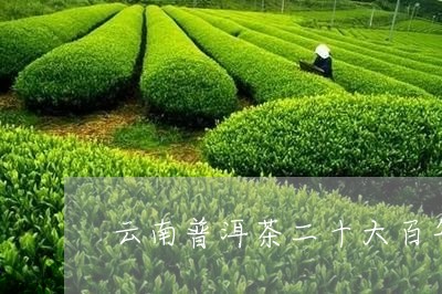 云南普洱茶二十大百年老字号品牌/2023082852713