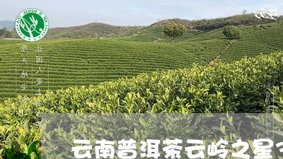 云南普洱茶云岭之星357克/2023052938606