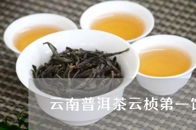 云南普洱茶云桢第一饼/2023062036268