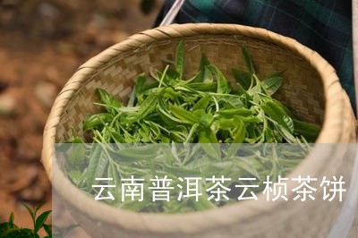 云南普洱茶云桢茶饼/2023080327150