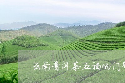 云南普洱茶五福临门牌/2023092620381