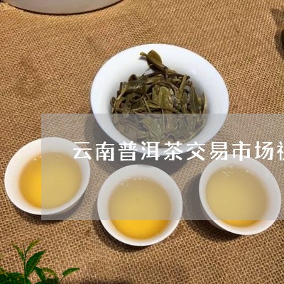 云南普洱茶交易市场视频/2023122040451