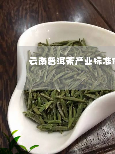 云南普洱茶产业标准化/2023062351504