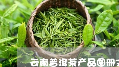 云南普洱茶产品图册文档/2023102405148