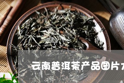 云南普洱茶产品图片大全/2023102459491