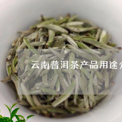 云南普洱茶产品用途介绍/2023081735947