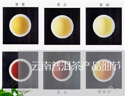 云南普洱茶产品细节/2023082877389