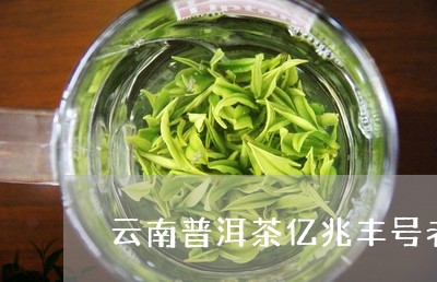 云南普洱茶亿兆丰号老普洱茶砖/2023053073025