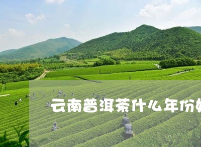 云南普洱茶什么年份好/2023062567503