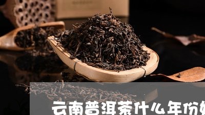 云南普洱茶什么年份好/2023080103728