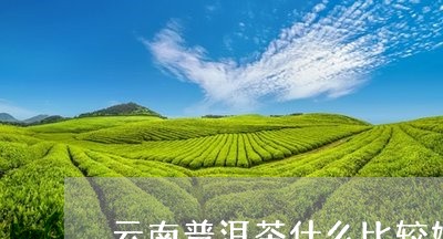 云南普洱茶什么比较好/2023062458815