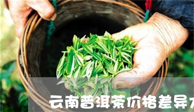 云南普洱茶价格差异大/2023100795847