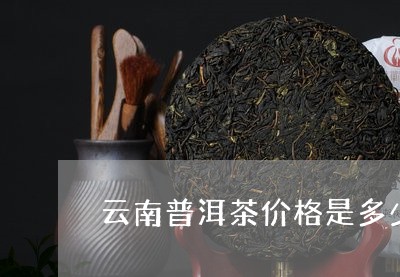 云南普洱茶价格是多少/2023100641726