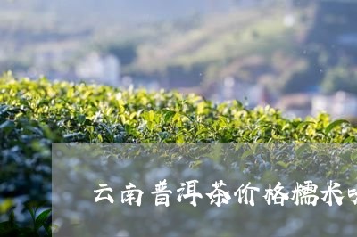 云南普洱茶价格糯米味/2023062863037