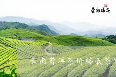 云南普洱茶价格表茶饼/2023080175159