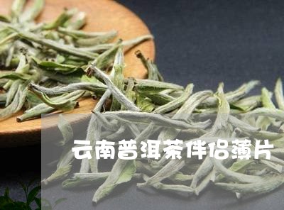 云南普洱茶伴侣薄片/2023091472848