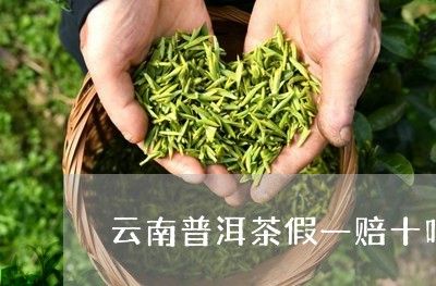 云南普洱茶假一赔十吗/2023092770594