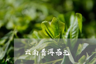 云南普洱茶元/2023091395939