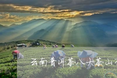 云南普洱茶八大茶山有哪些/2023082802684