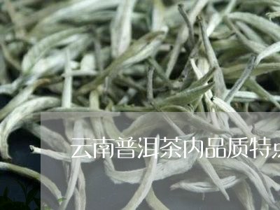 云南普洱茶内品质特点/2023062748592