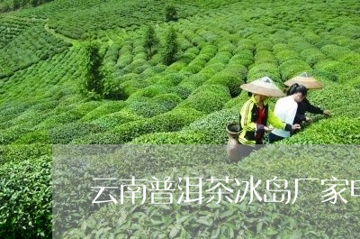 云南普洱茶冰岛厂家电话/2023050596037