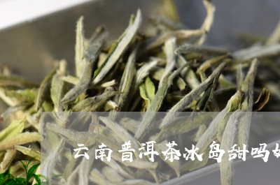 云南普洱茶冰岛甜吗好喝吗/2023110540381