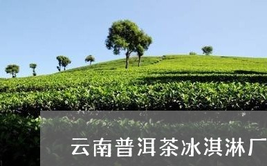 云南普洱茶冰淇淋厂家电话/2023082811915