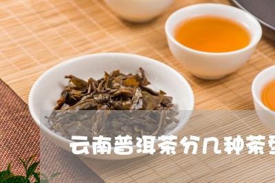 云南普洱茶分几种茶型和等级/2023052972747