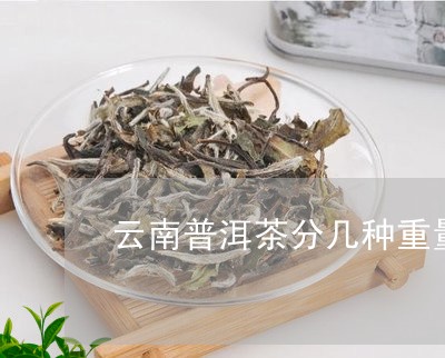 云南普洱茶分几种重量/2023080109572