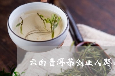 云南普洱茶创业人群占比/2023122853794