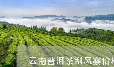 云南普洱茶刮风寨价格/2023080178362