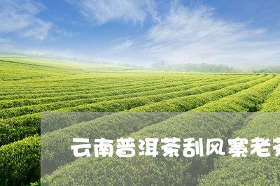 云南普洱茶刮风寨老茶/2023112780381