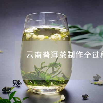 云南普洱茶制作全过程/2023092985047