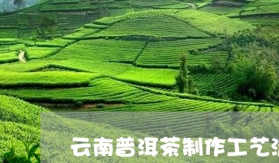 云南普洱茶制作工艺流程图/2023082834736